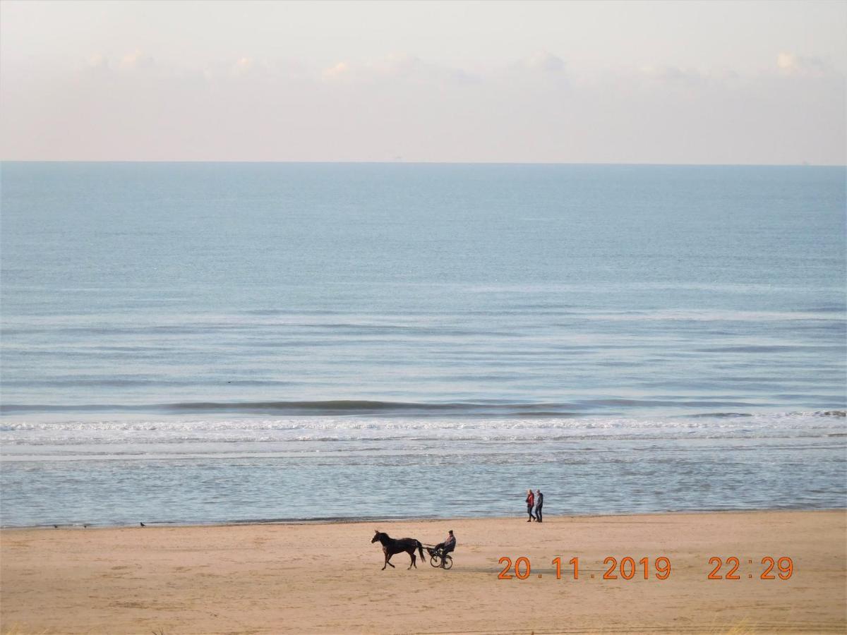 Strandhuis Egmond aan Zee Exterior foto